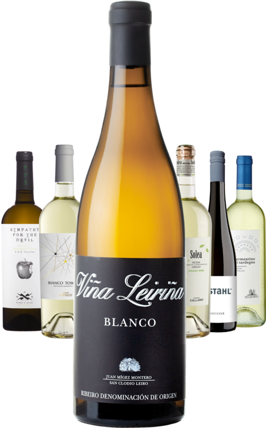 SET Bílá šestka ze zahraničí