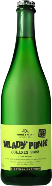 Mladý Punk z Kačiny