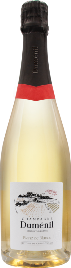 Champagne - Blanc de Blancs