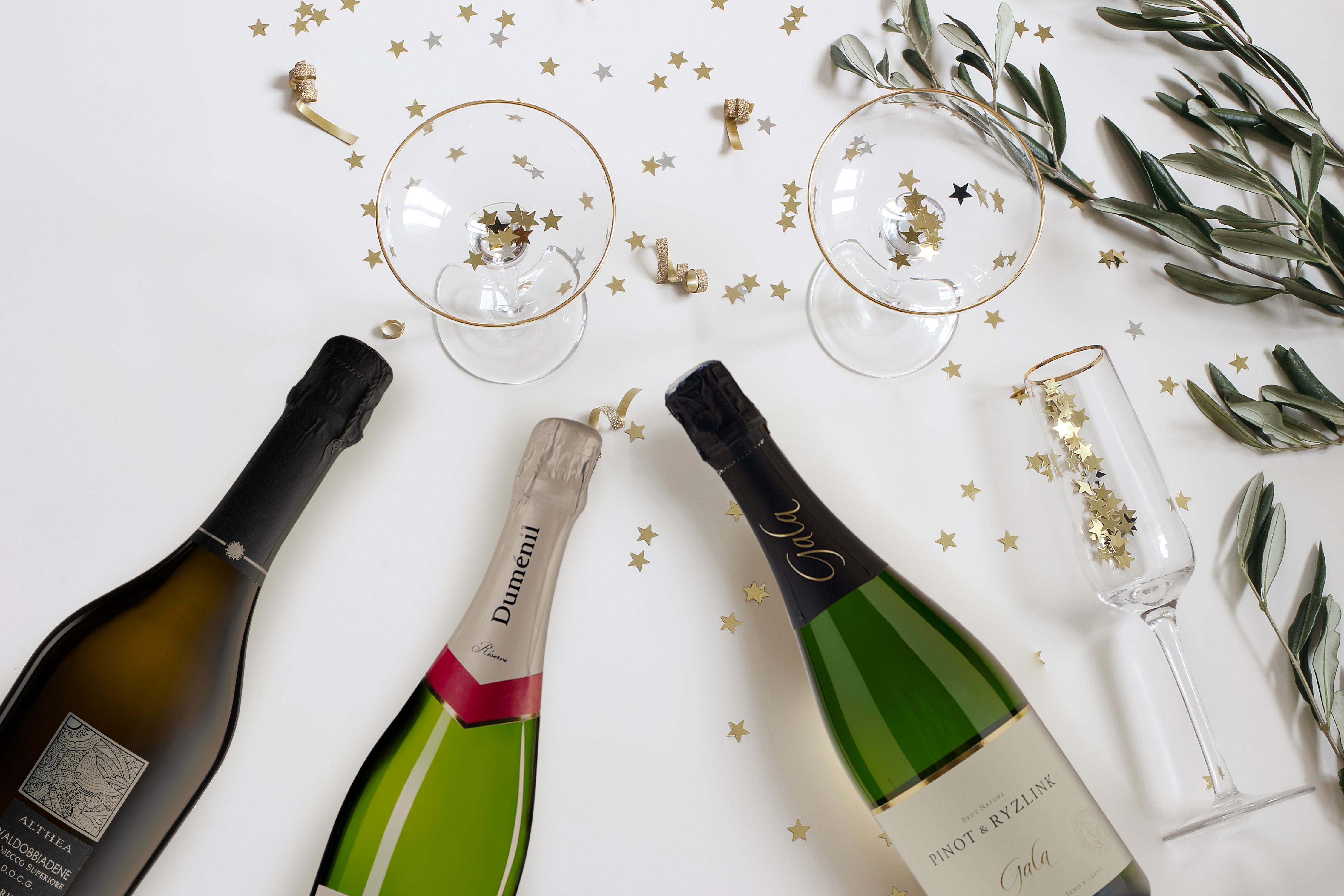 Vína pro oslavu Nového roku 🎉 